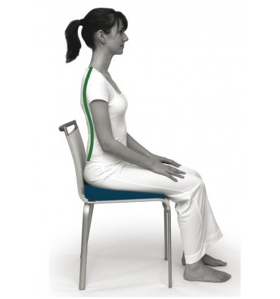 Coussin d'assise Coccyx SISSEL Sit spécial 2 en 1