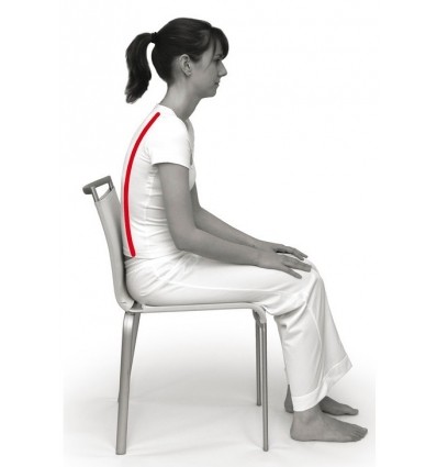 Coussin d'assise Coccyx SISSEL Sit spécial 2 en 1