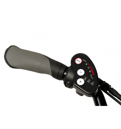 Tricycle Freedom pour adolescent 2217 avec assistance électrique