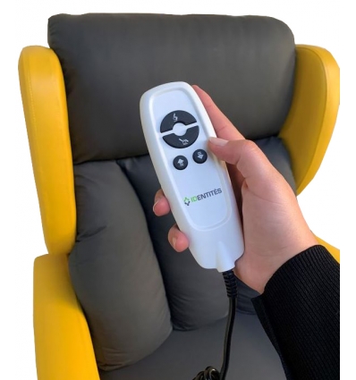 Télécommande du Fauteuil releveur 2 moteurs Proclassic