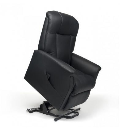 Fauteuil releveur 2 moteurs Ontario