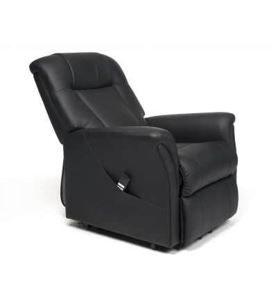 Fauteuil releveur 2 moteurs Ontario