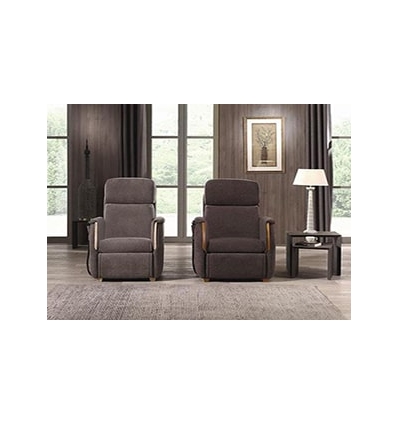 Fauteuil releveur 2 moteurs Confort Virtuo