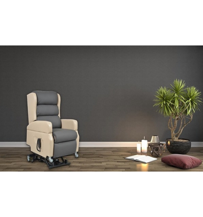 Fauteuil releveur 2 moteurs Wellington