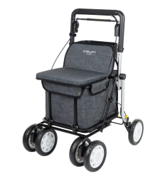 Déambulateur caddie Lett 900 gris