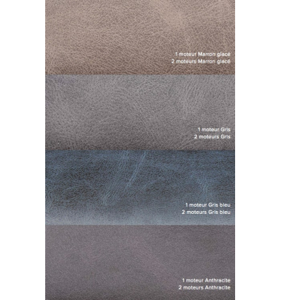 Coloris du fauteuil releveur 2 moteurs Relax Touch Ergo