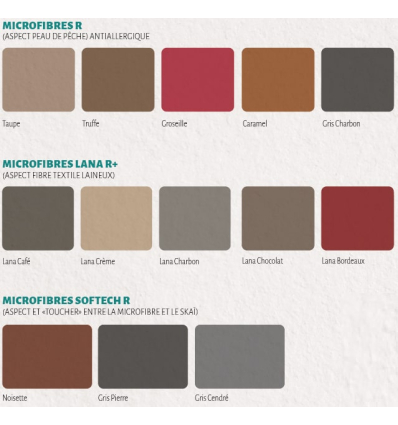 Coloris du fauteuil releveur 2 moteurs Confort Modulo Pack