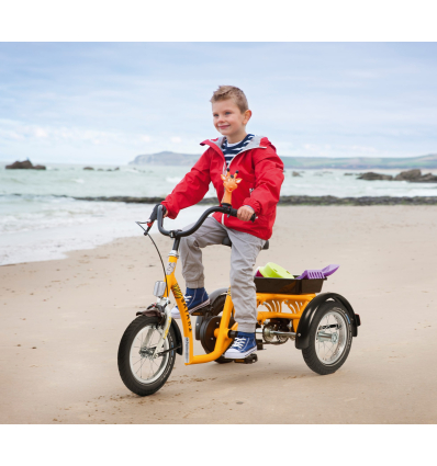 Tricycle enfant 2202 Safari Vermeiren