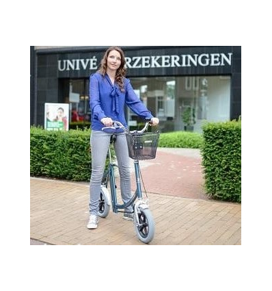 Draisienne adulte City Pous Van Raam