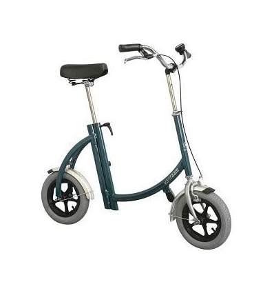 Draisienne adulte City Pous Van Raam bleu