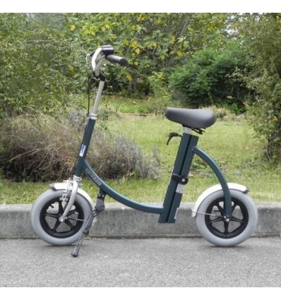 Draisienne adulte handicapé City Pous Van Raam