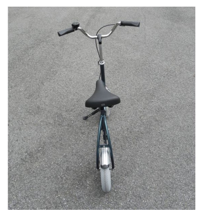 Draisienne adulte City Pous Van Raam