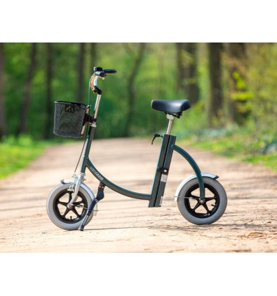 Draisienne adulte City Pous Van Raam