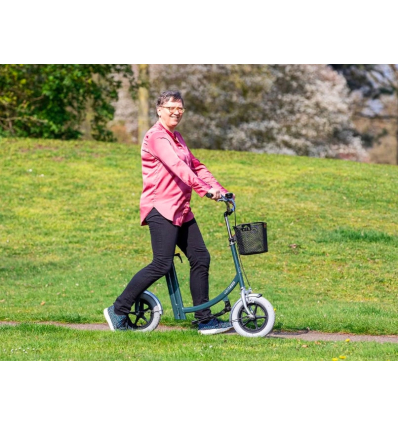 Draisienne adulte City Pous Van Raam