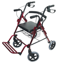Déambulateur chaise roulante 2 en 1 Victor rouge Identités