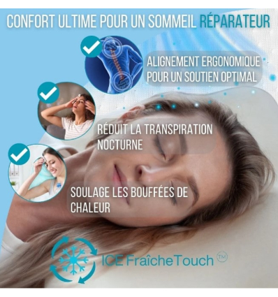 Oreiller à mémoire de forme avec gel rafraîchissant infusé Climaconfort Ice
