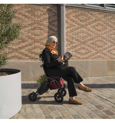 Déambulateur chariot de courses 4 roues à pousser pliable R05 Playcare