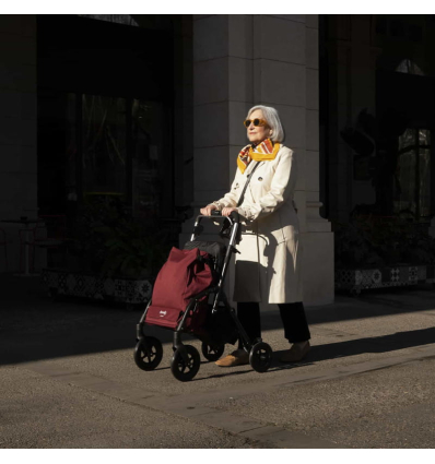 Déambulateur chariot de courses 4 roues à pousser pliable R05 Playcare