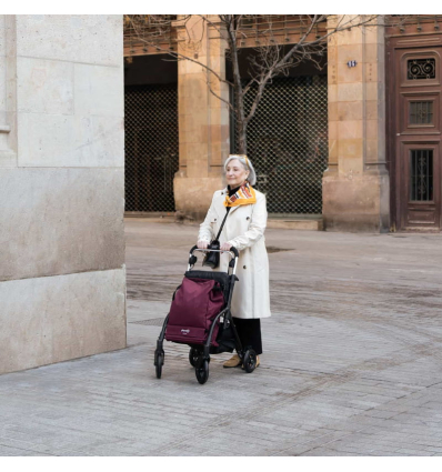 Déambulateur chariot de courses 4 roues à pousser pliable R05 Playcare