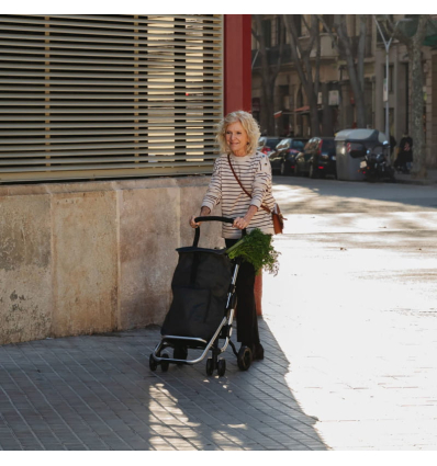 Chariot de courses 4 roues à pousser pliable Playcare
