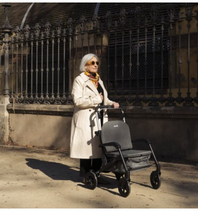 Déambulateur et chariot de courses 4 roues à pousser avec siège Care Lux
