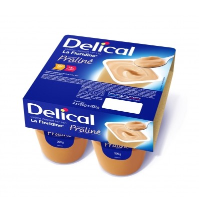 Pack de 4 crèmes desserts La Floridine Delical praliné