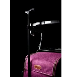 Porte canne pour Rollz Flex 1 & 2