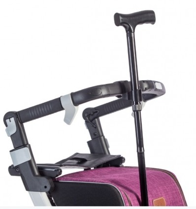 Porte canne pour Rollz Flex 1 & 2