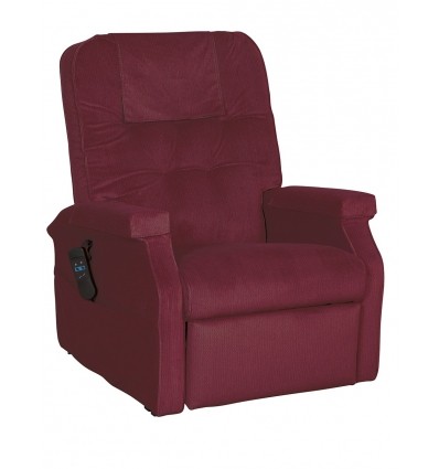 Fauteuil releveur 1 moteur Success