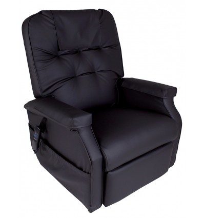 Fauteuil releveur 1 moteur Success