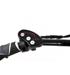 Tricycle pour adulte vintage design 2219 avec assistance électrique