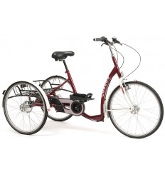 Tricycle adulte et senior handicap 3 roues 2219 Lagoon Vermeiren bordeaux