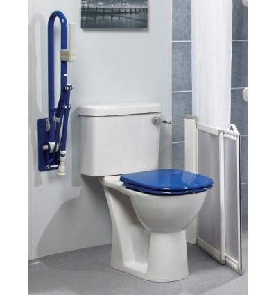 Bras d'appui WC Pro relevable
