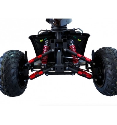 Scooter 4 roues homologué "route" Monster X 900-M4