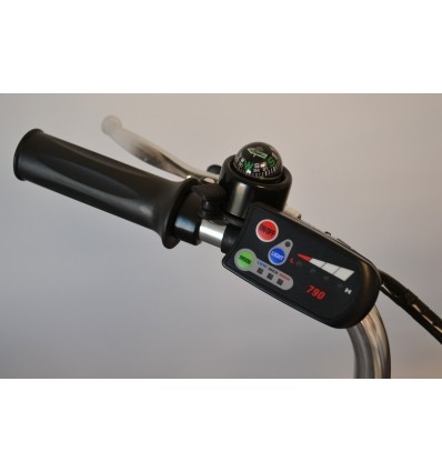 Tricycle avec assistance électrique SE300R-36