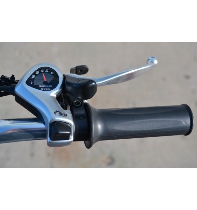 Tricycle avec assistance électrique SE300R-36