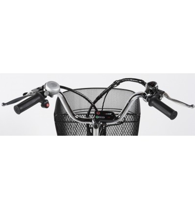 Tricycle avec assistance électrique SE300R-36