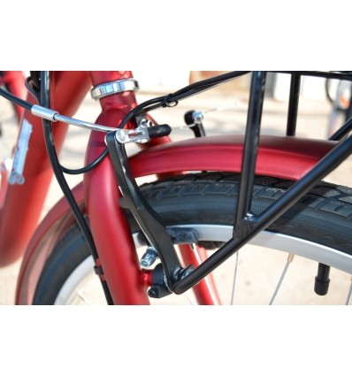 Tricycle avec assistance électrique SE300R-36