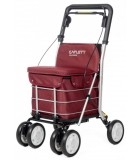 Déambulateur caddie - chariot de courses