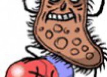 Résistance aux antibiotiques : faut'il s'en inquiéter ?