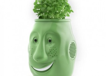 Billy-Billy : Un pot de fleurs connecté pour les personnes âgées